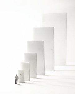 think big and start small bipinon